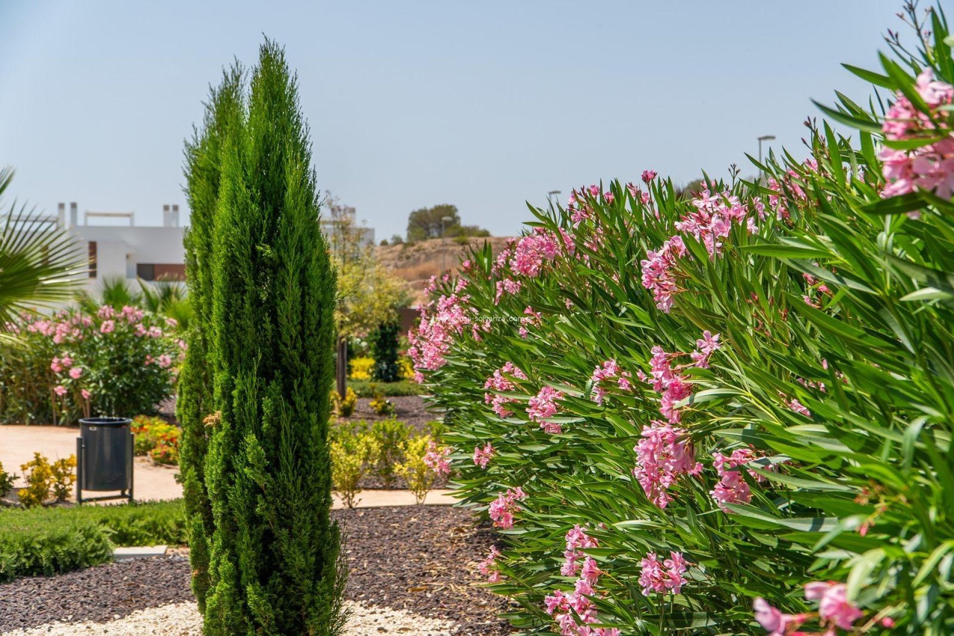 Neue Gebäude - Top Floor Bungalow - Orihuela - Vistabella Golf