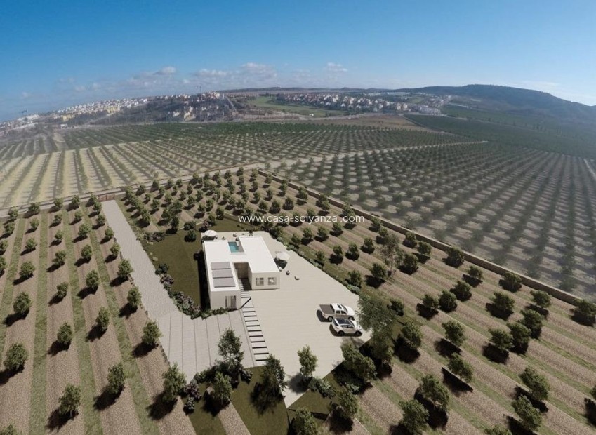 Neue Gebäude - Villa - Algorfa