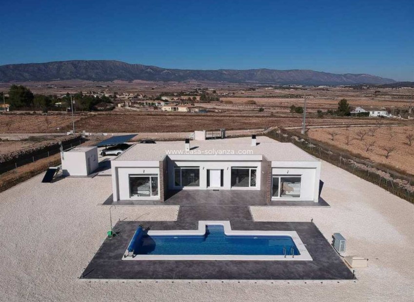 Neue Gebäude - Villa - Pinoso