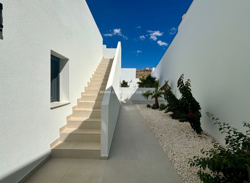 Neue Gebäude - Villa - Rojales