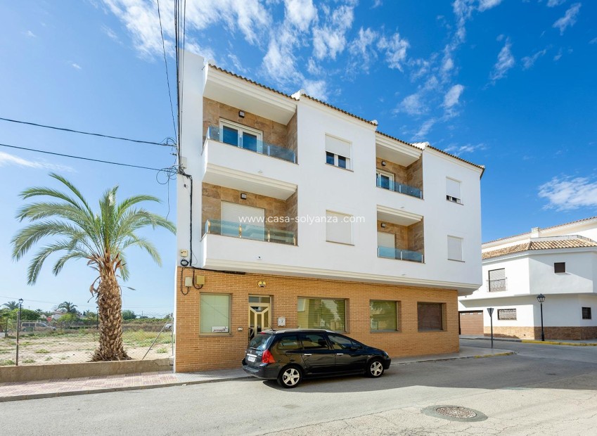 Neue Gebäude - Wohnung - Jacarilla