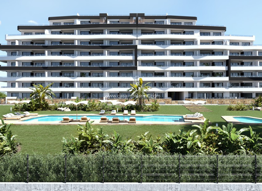 Neue Gebäude - Wohnung - San Miguel de Salinas