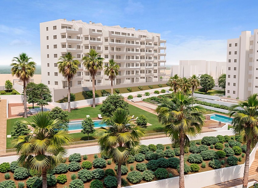 Neue Gebäude - Wohnung - San Miguel de Salinas
