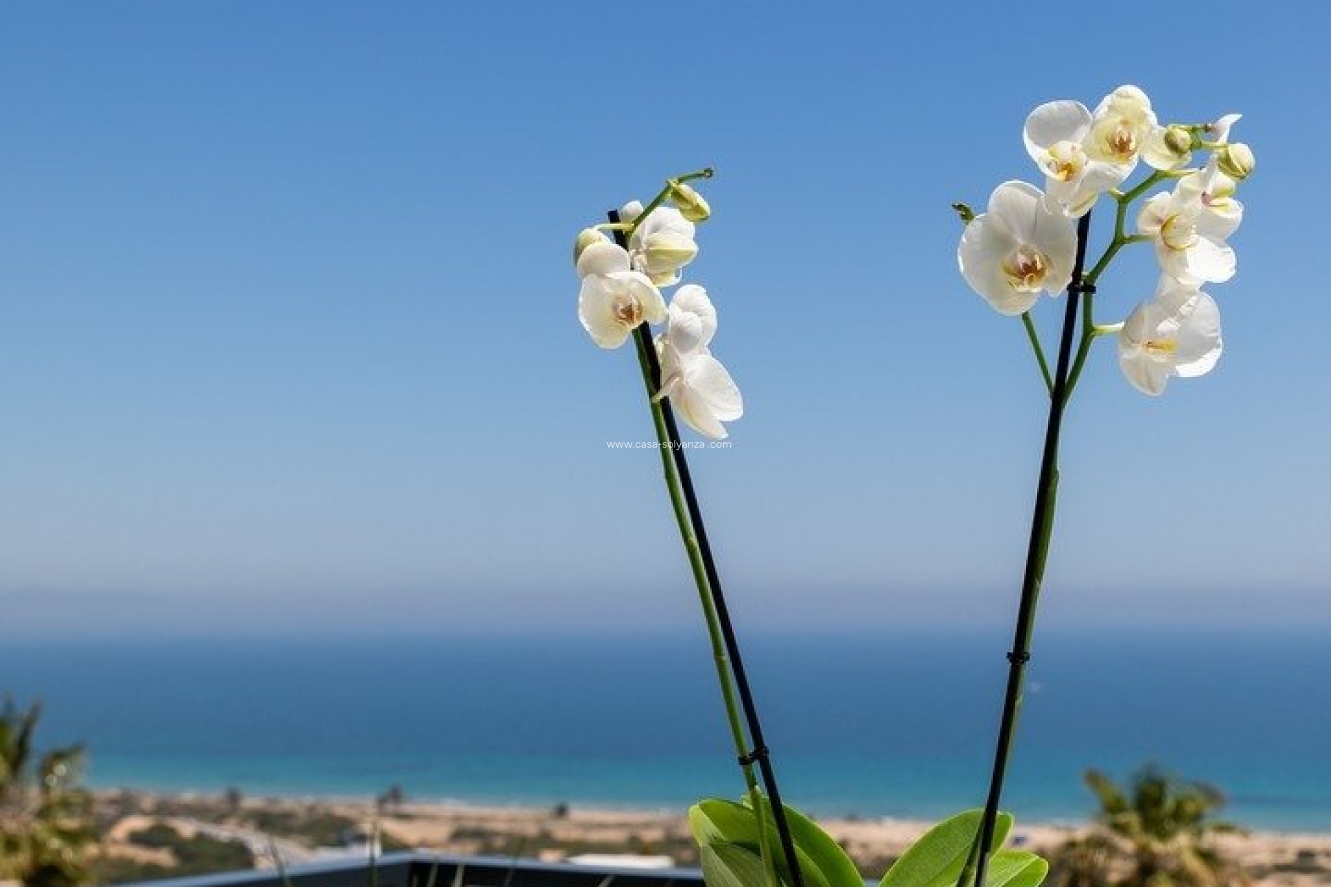 Neue Gebäude - Wohnung - Santa Pola - Gran Alacant