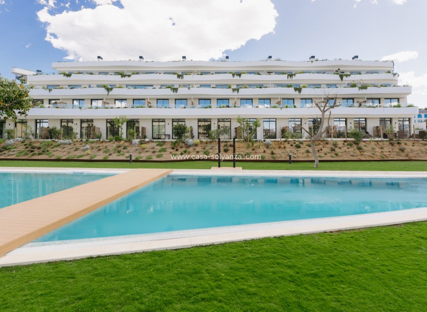 New Build - Apartment / flat - Alfas del Pí - Alfaz del Pi