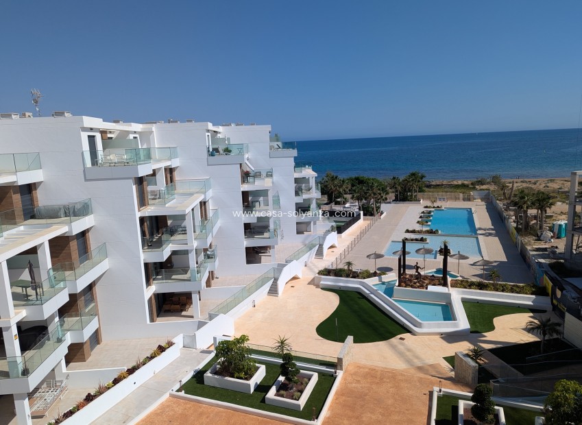 New Build - Apartment / flat - Denia - Dénia