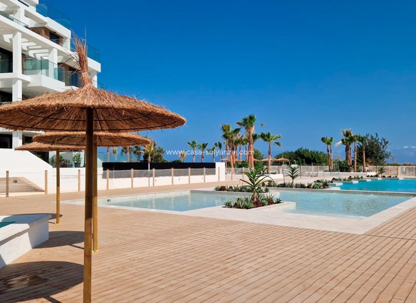 New Build - Apartment / flat - Denia - L´Estanyó (Marinas)