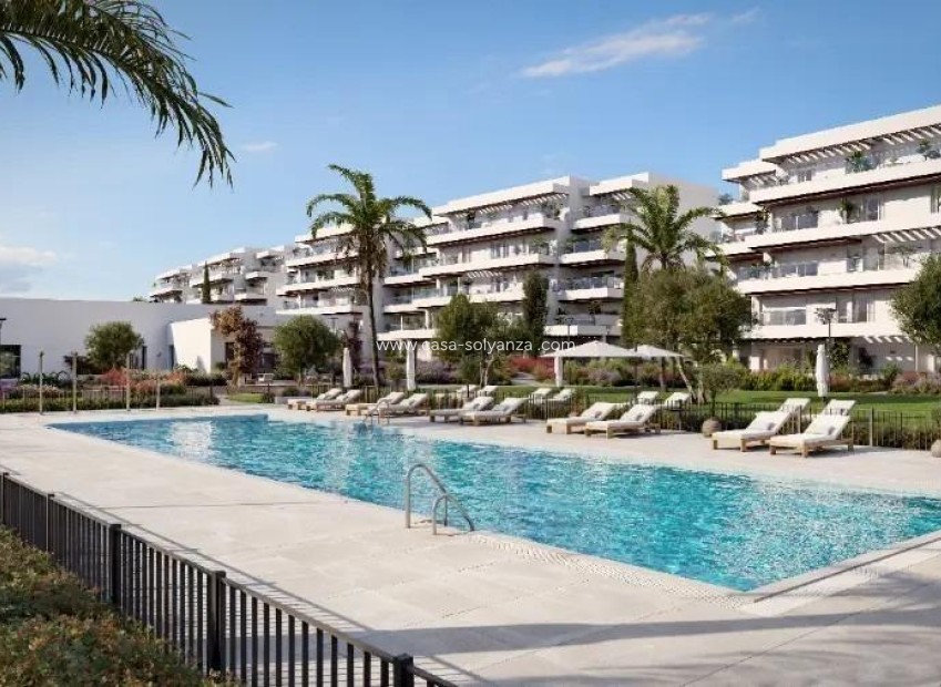 New Build - Apartment / flat - Denia - Playa de La Almadraba