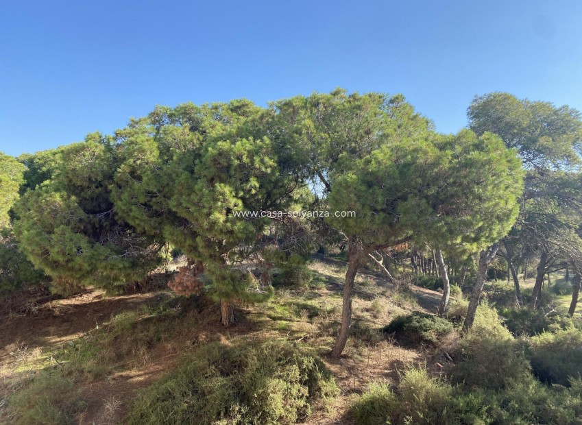 New Build - Apartment / flat - Guardamar del Segura - Center