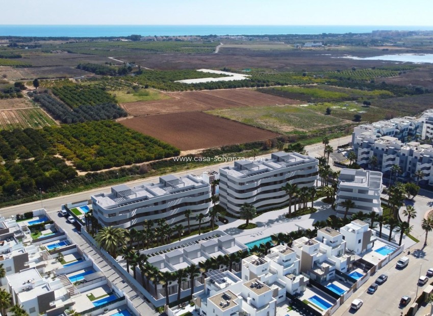 New Build - Apartment / flat - Guardamar del Segura - El Raso