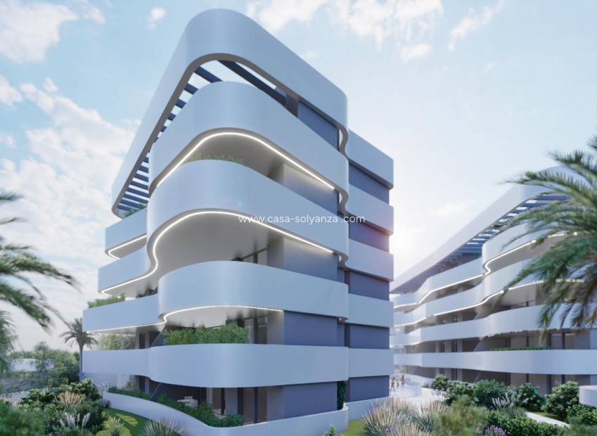 New Build - Apartment / flat - Guardamar del Segura - El Raso