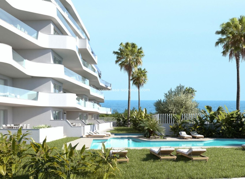 New Build - Apartment / flat - Pilar de la Horadada - Mil Palmeras