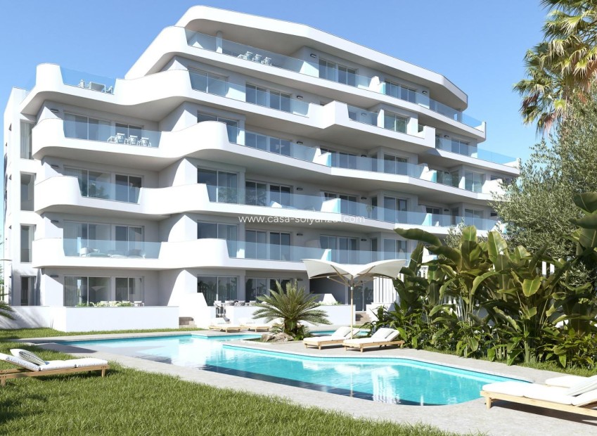 New Build - Apartment / flat - Pilar de la Horadada - Mil Palmeras