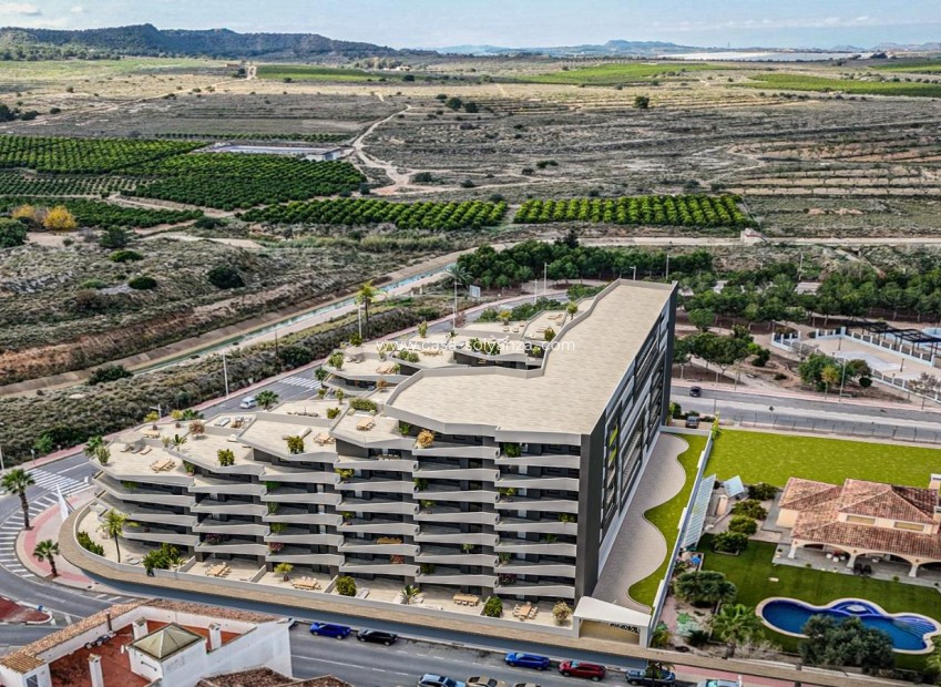 New Build - Apartment / flat - San Miguel de Salinas - Pueblo