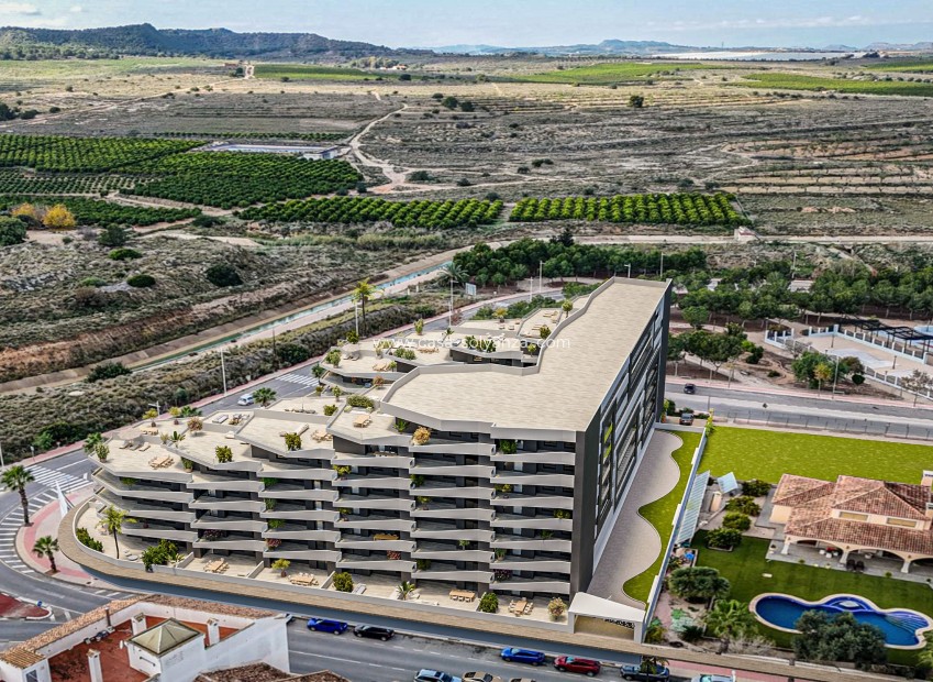 New Build - Apartment / flat - San Miguel de Salinas