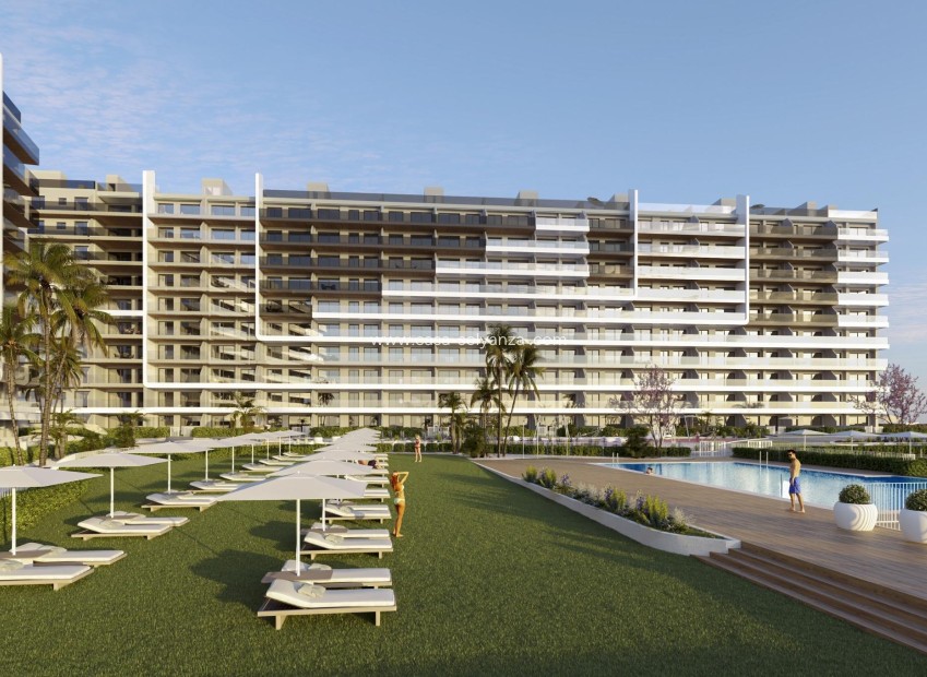 New Build - Apartment / flat - Torrevieja - Punta Prima