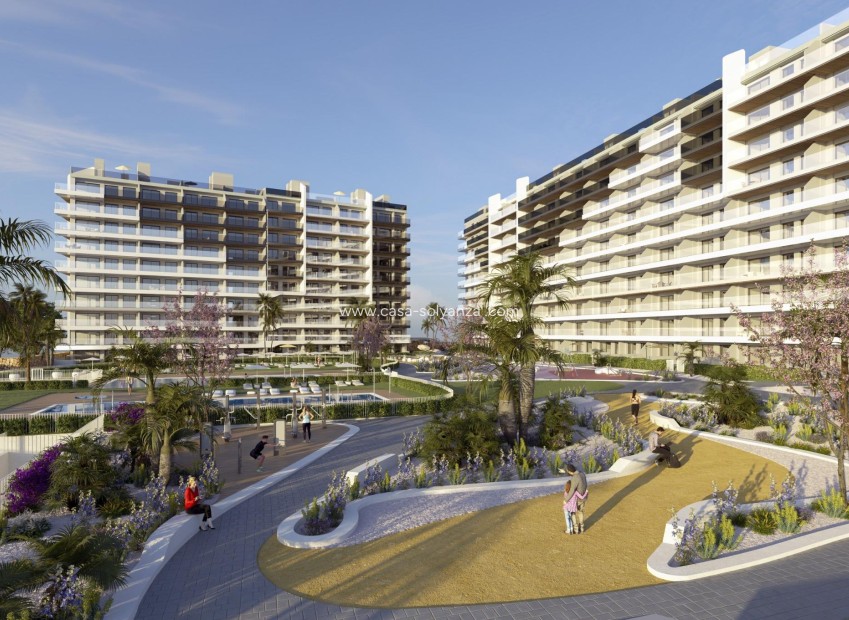 New Build - Apartment / flat - Torrevieja - Punta Prima