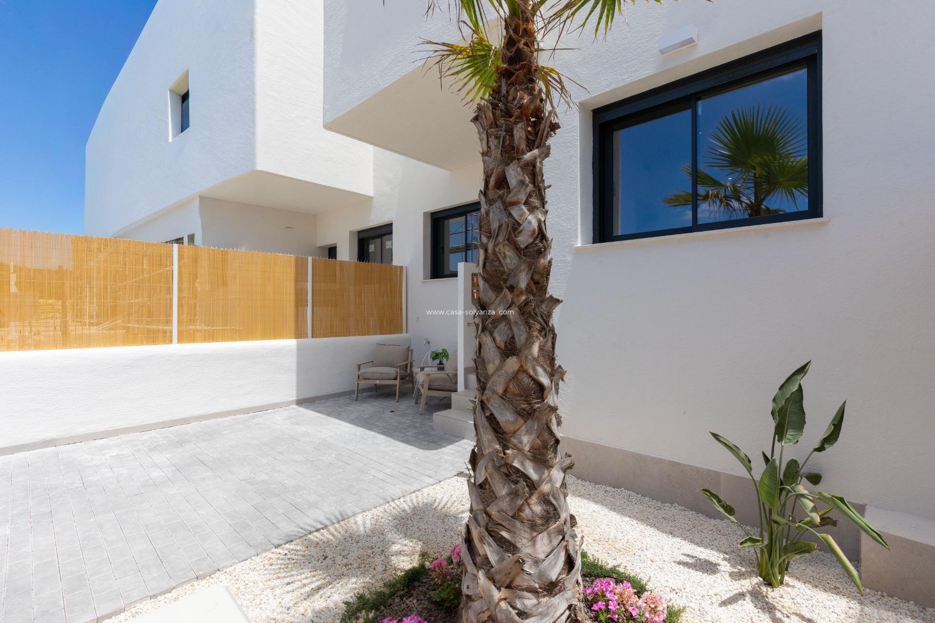 New Build - Bungalow - Dolores - Sector 3