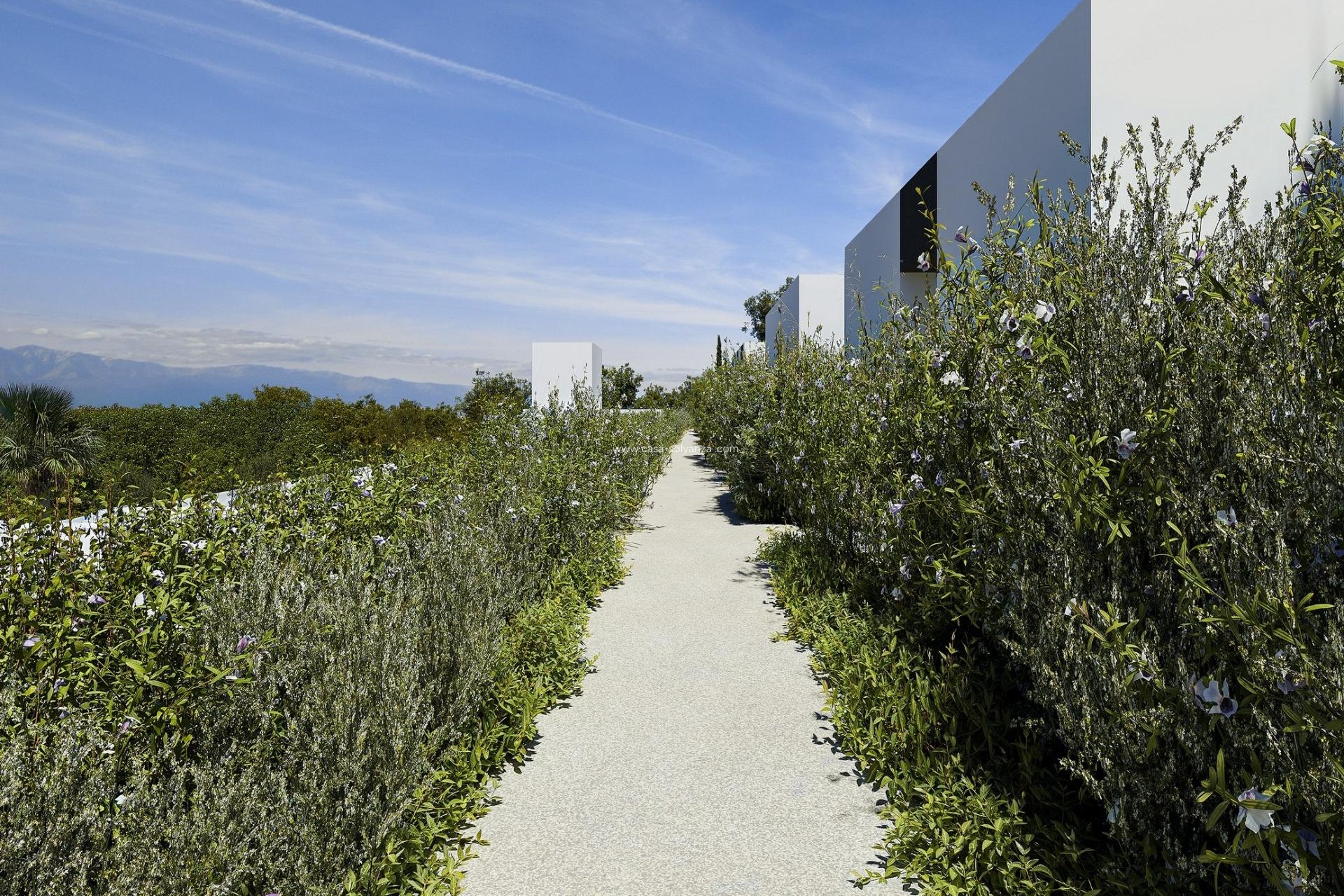 New Build - Villa - Alfas del Pí - Barranc Fondo