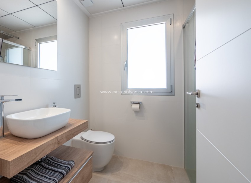 New Build - Villa - Algorfa - La finca