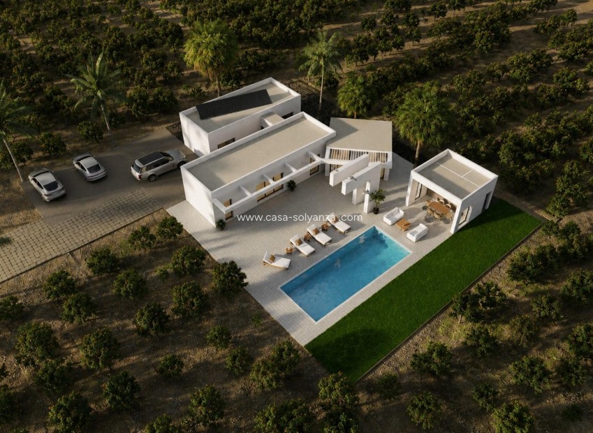 New Build - Villa - Benejuzar - alta