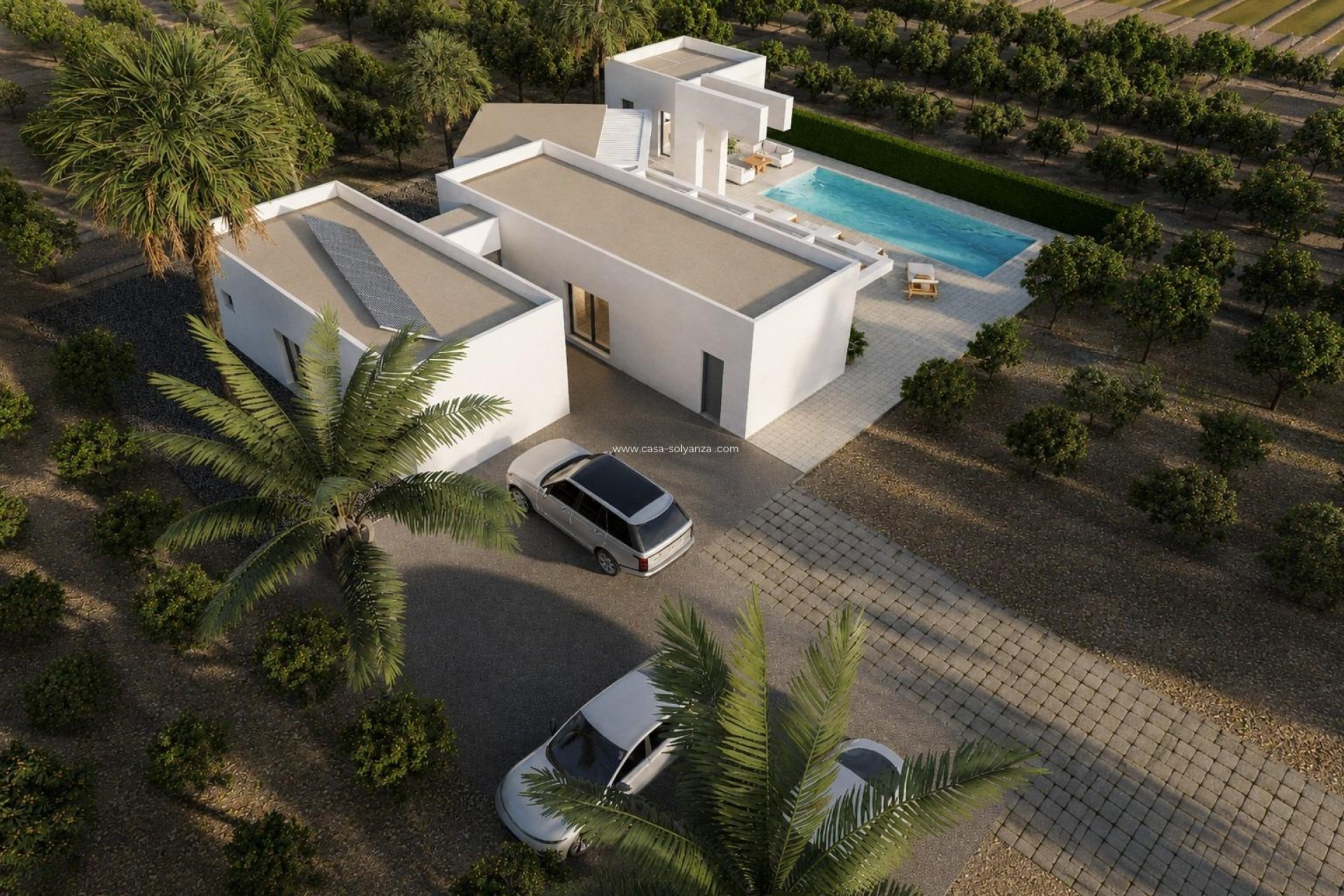 New Build - Villa - Benejuzar - alta