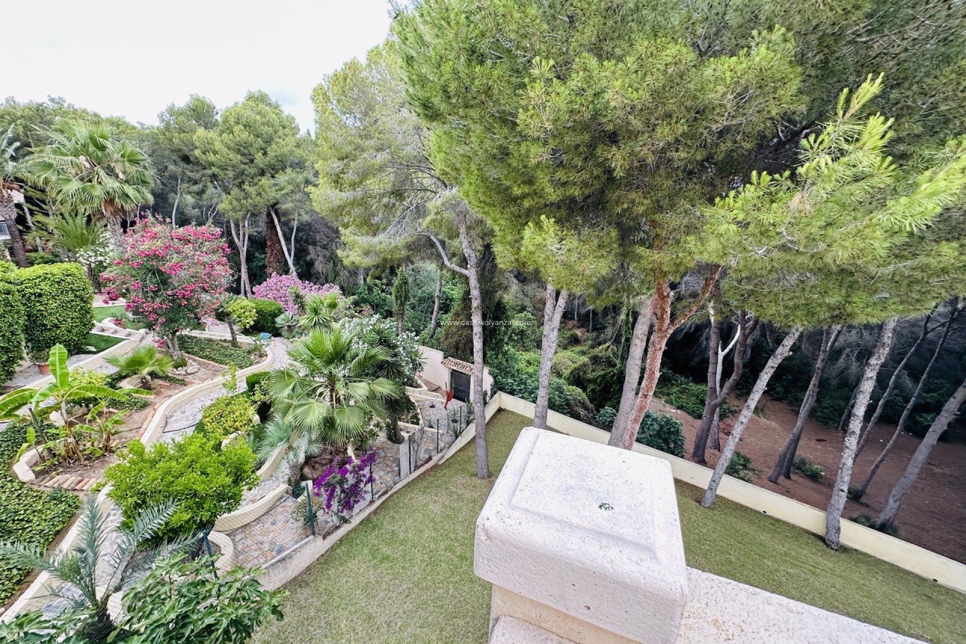 New Build - Villa - Dehesa De Campoamor