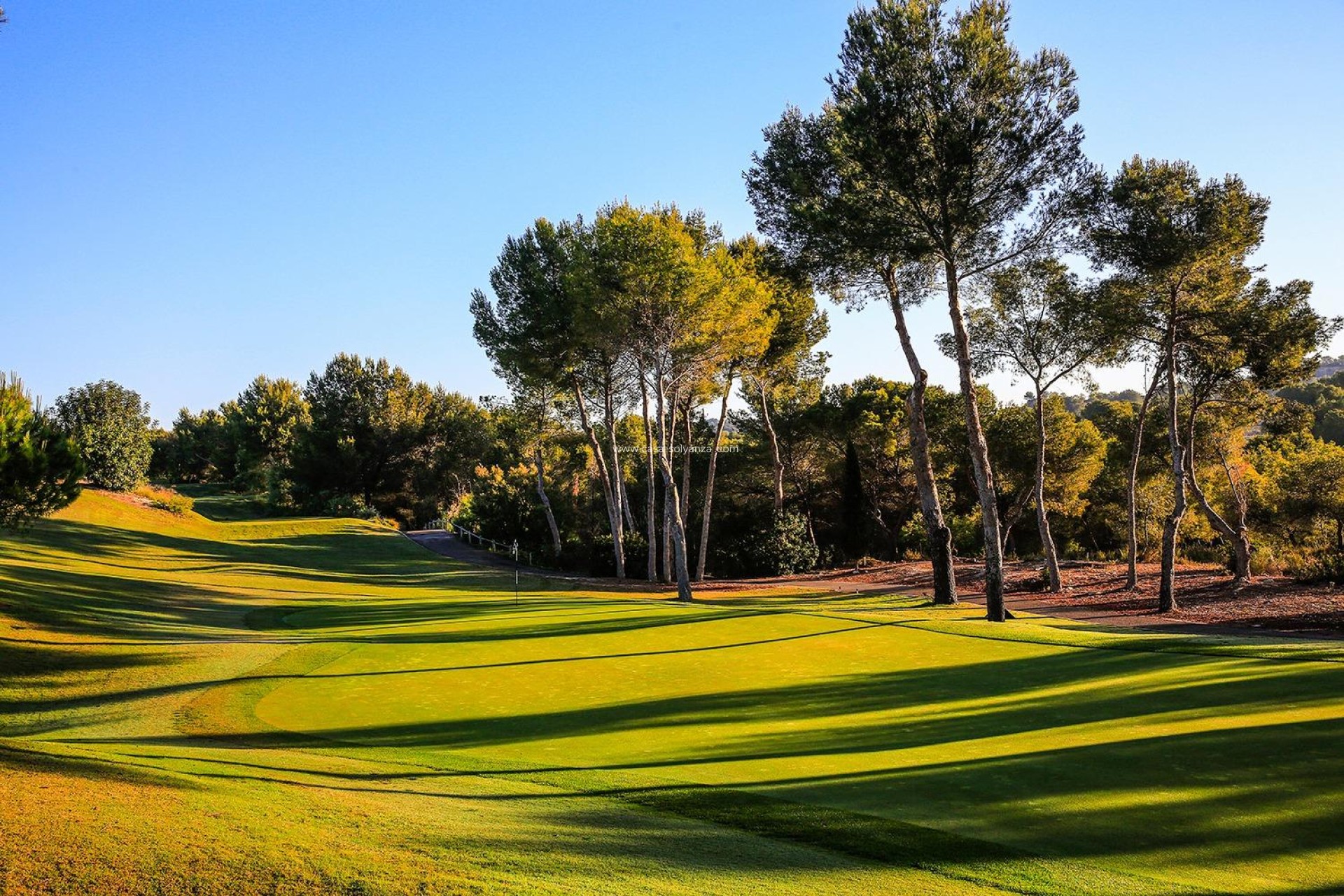 New Build - Villa - Orihuela - Las Colinas Golf Resort