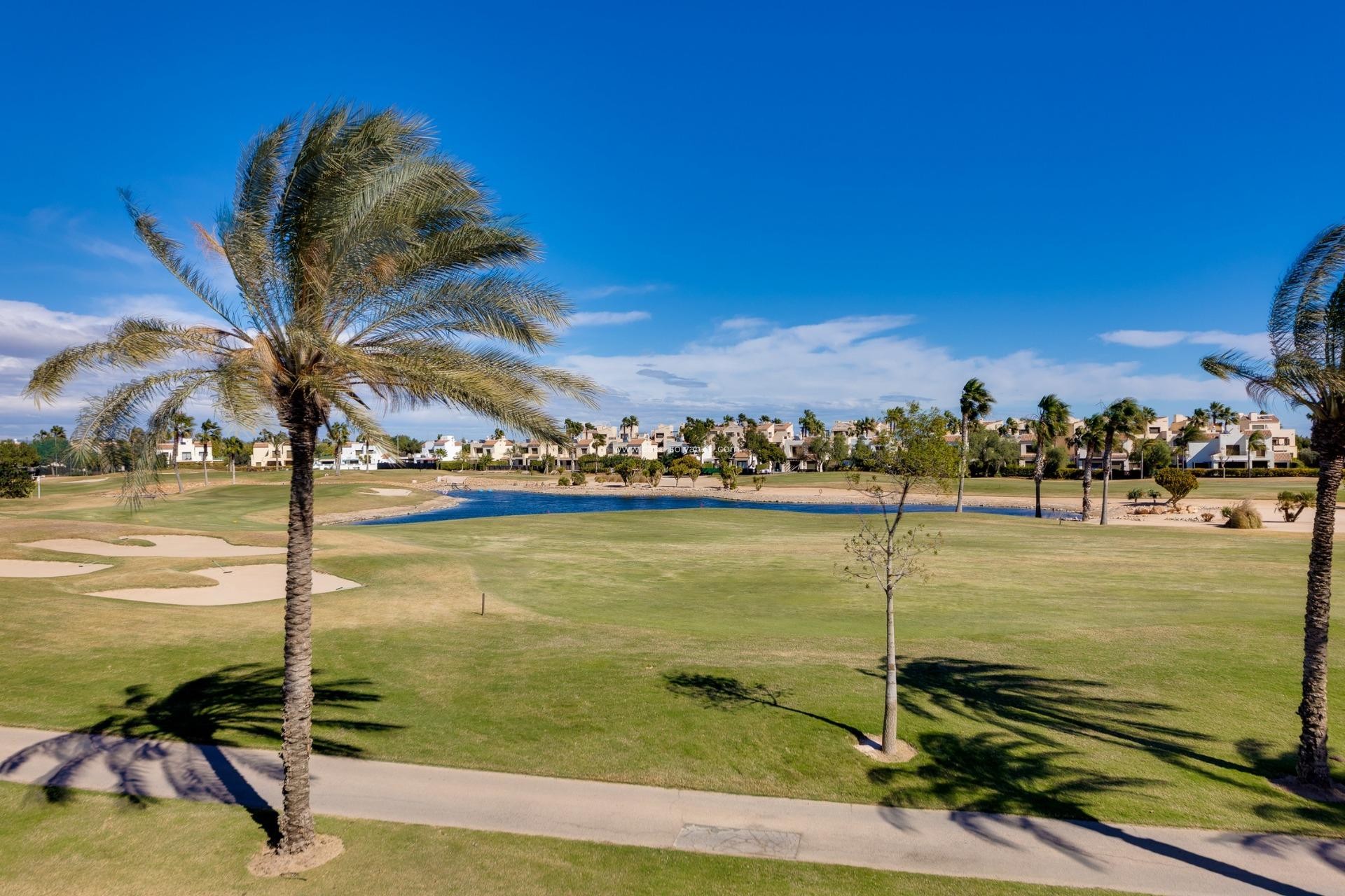 New Build - Villa - Pilar de la Horadada - Lo Romero Golf