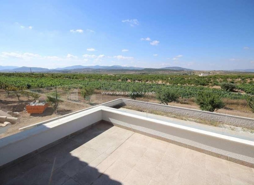 New Build - Villa - Pinoso - Camino Del Prado