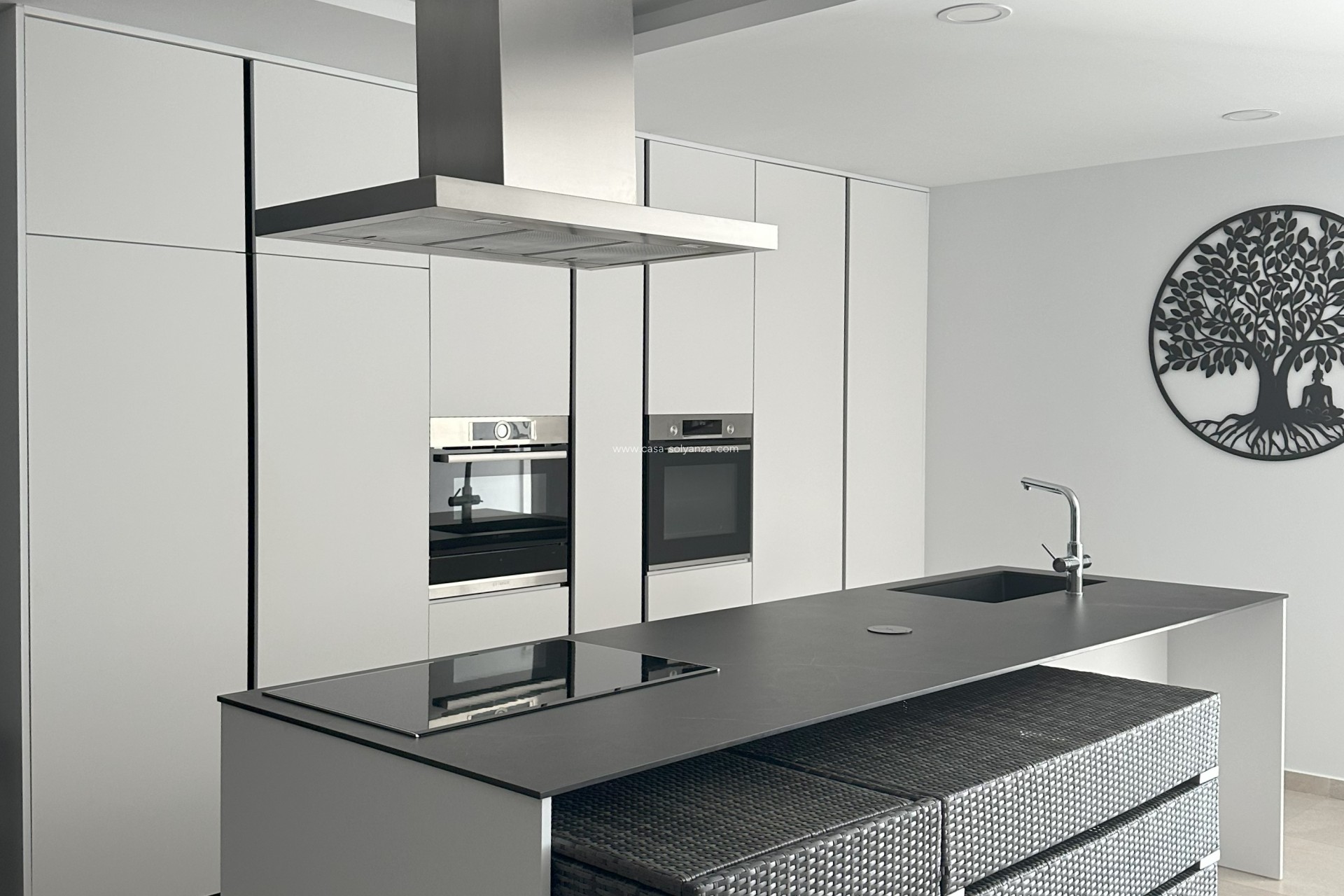 New Build - Villa - Pinoso