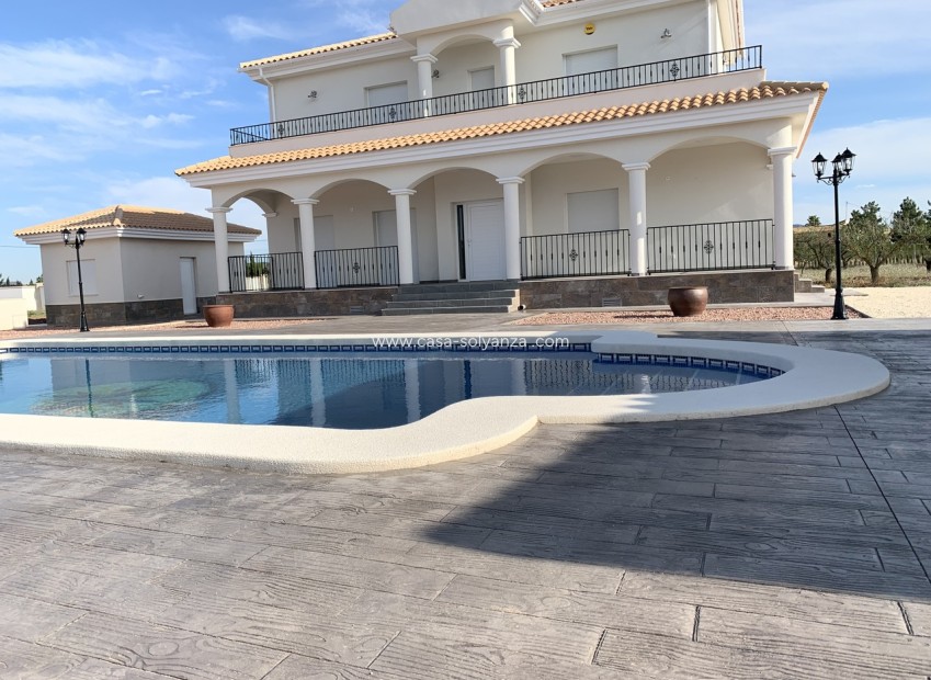 New Build - Villa - Pinoso