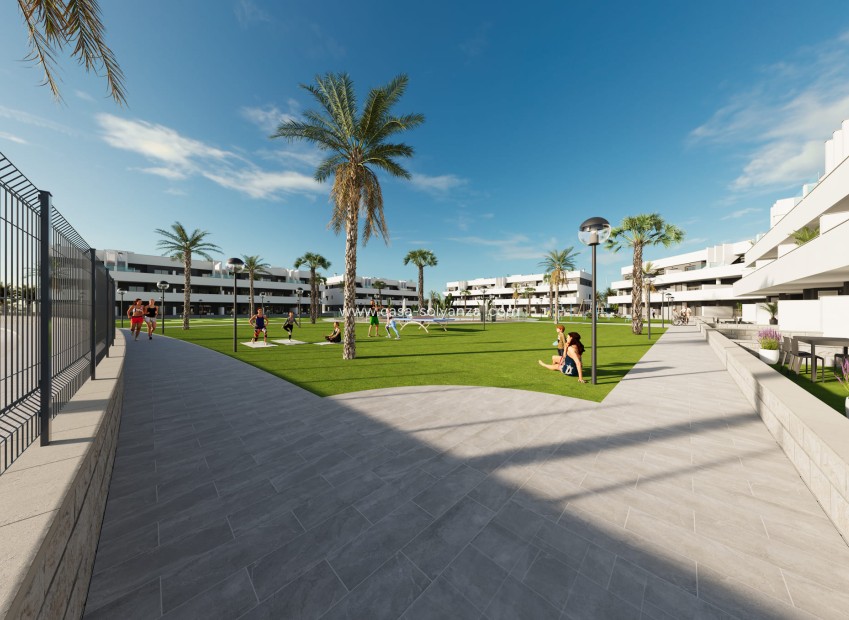 Nieuwbouw Woningen - Appartement / flat - Guardamar del Segura