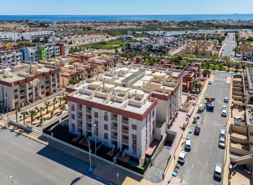 Nieuwbouw Woningen - Appartement / flat - Orihuela Costa - Lomas de Cabo Roig