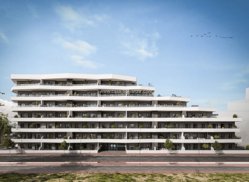Nieuwbouw Woningen - Appartement / flat - San Miguel de Salinas