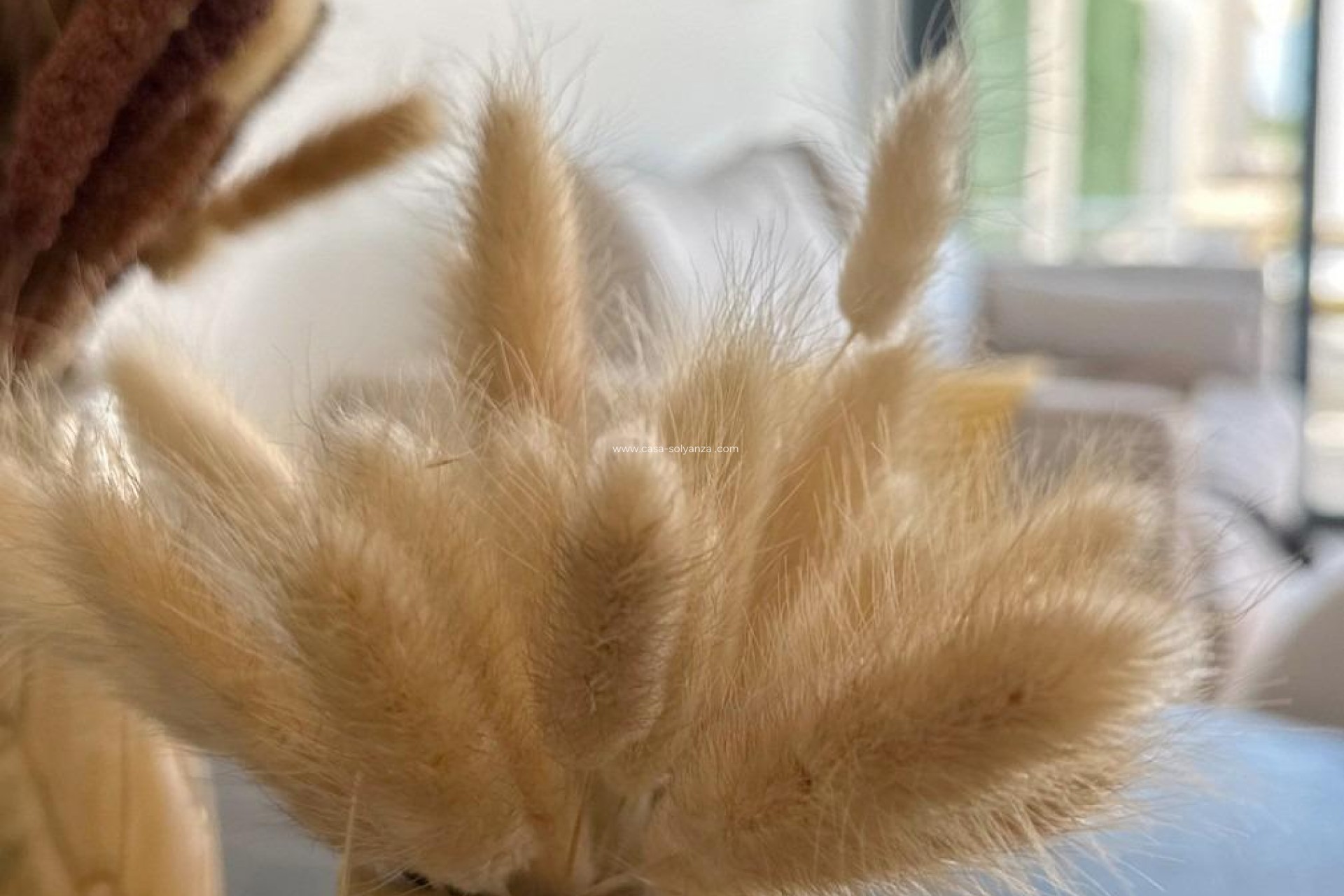 Nieuwbouw Woningen - Bungalow - San Fulgencio - Pueblo