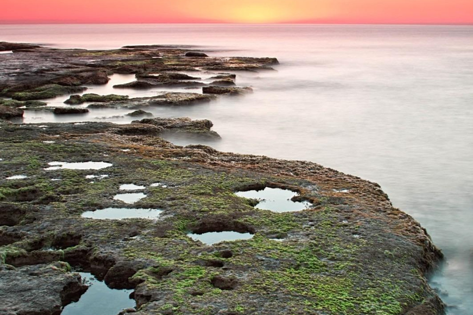 Nieuwbouw Woningen - Bungalow - Torrevieja - Altos del Sol