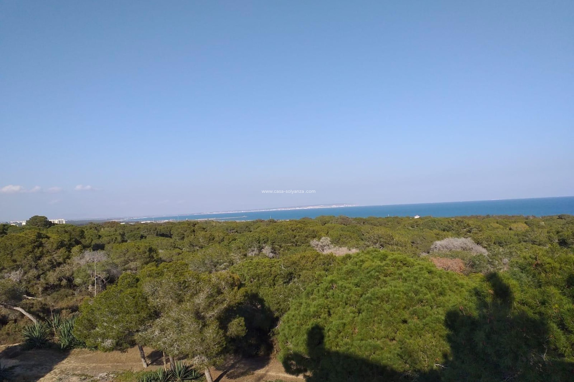 Nieuwbouw Woningen - Ground floor apartment - Guardamar del Segura - Pueblo