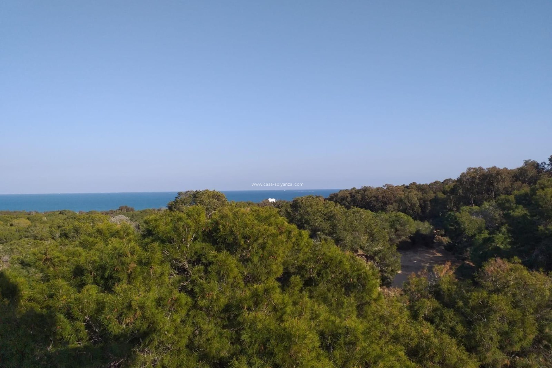 Nieuwbouw Woningen - Ground floor apartment - Guardamar del Segura - Pueblo