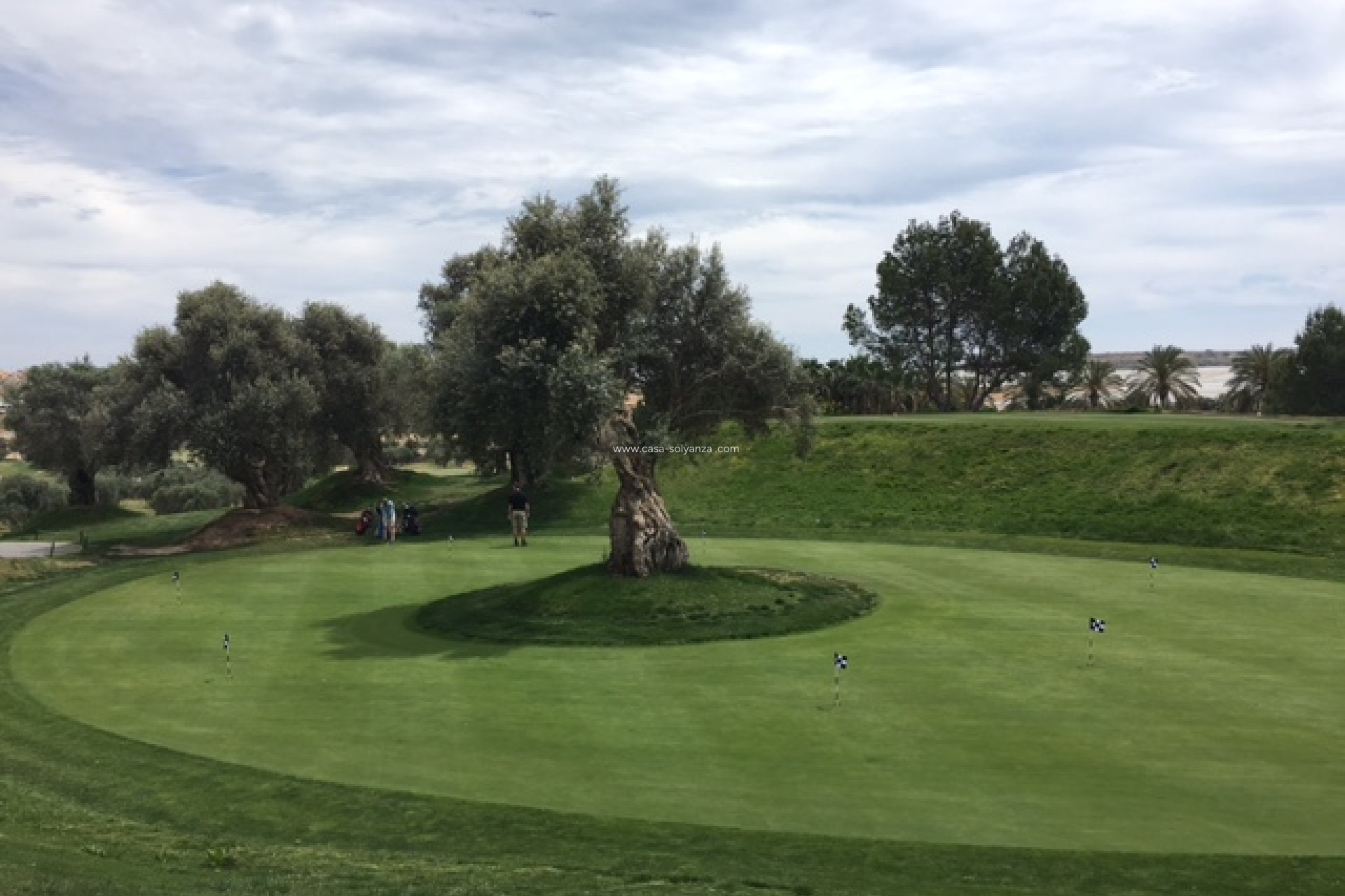 Nieuwbouw Woningen - Villa - Algorfa