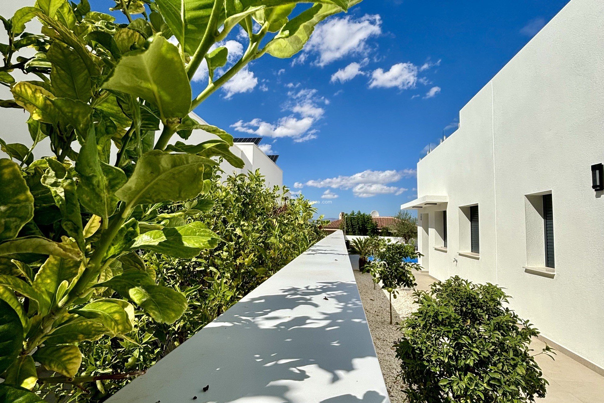 Nieuwbouw Woningen - Villa - Benijofar