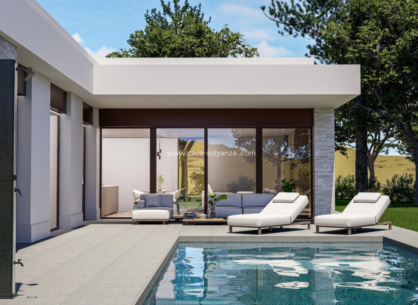 Nieuwbouw Woningen - Villa - Pinoso - Lel