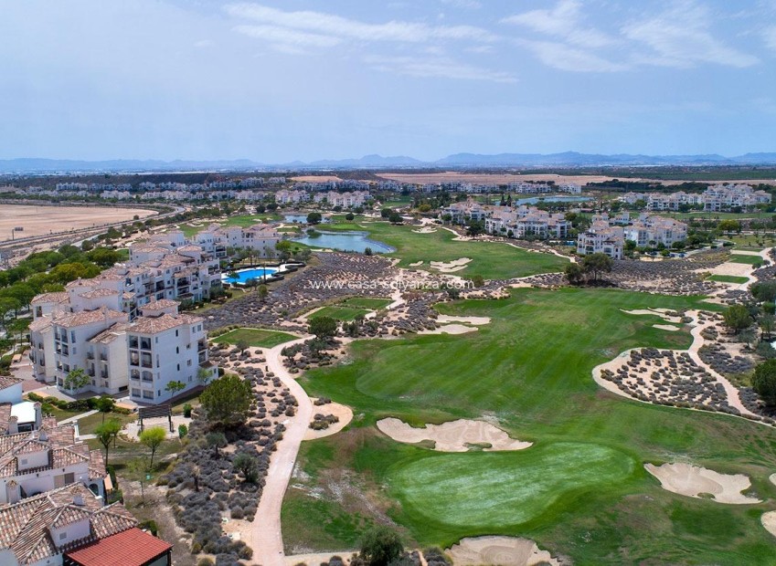 Nieuwbouw Woningen - Villa - Sucina