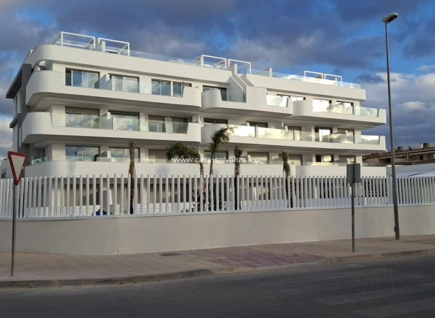 Nouvelle construction - Appartement - Cabo Roig