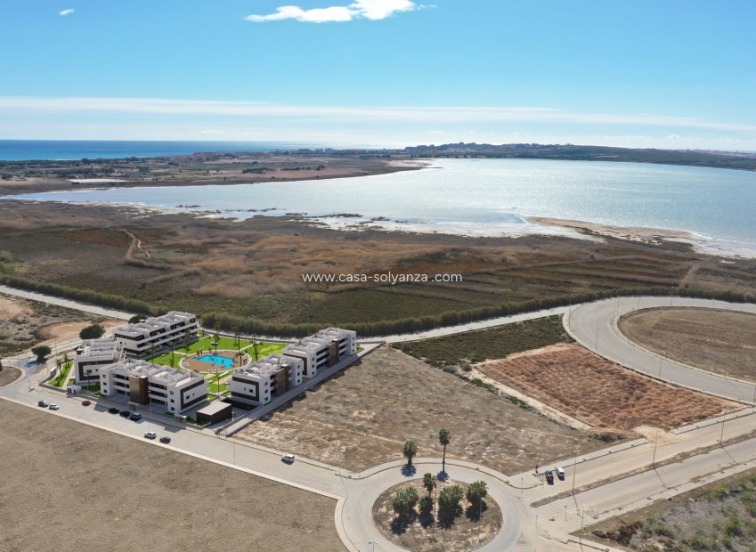 Nouvelle construction - Appartement - Guardamar del Segura