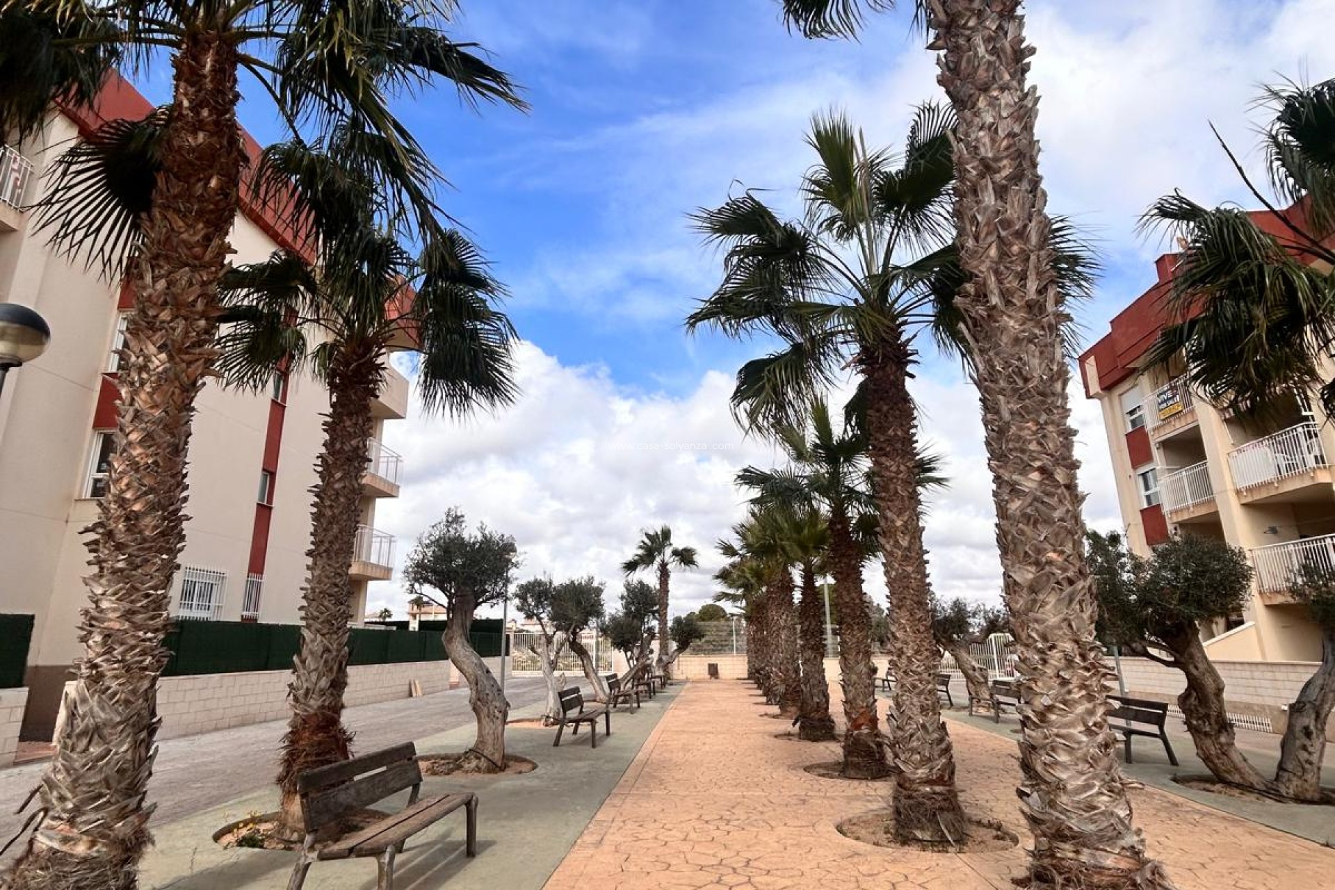 Nouvelle construction - Appartement - Orihuela