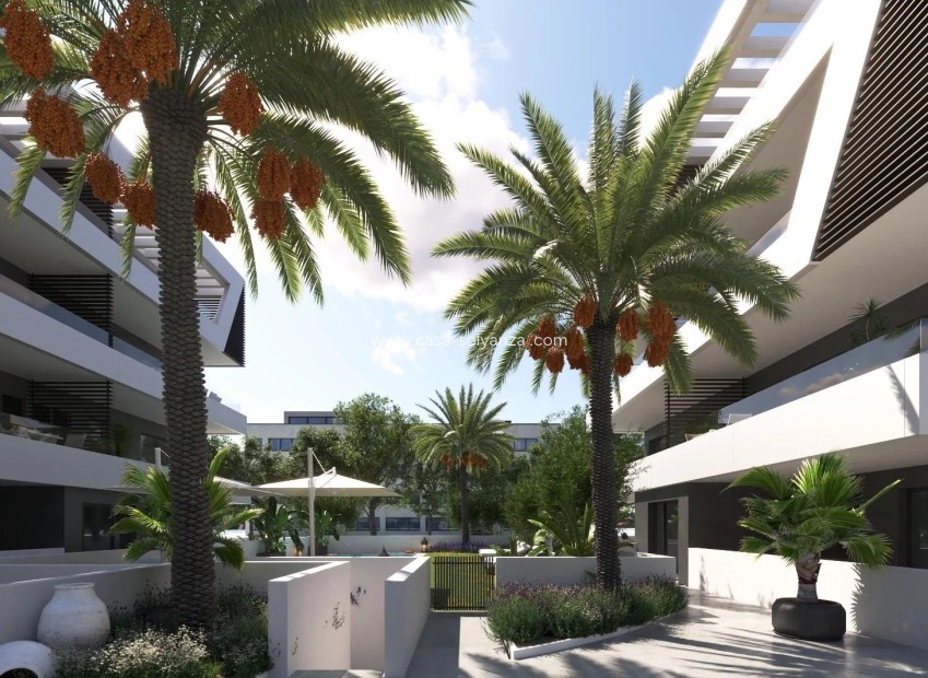 Nouvelle construction - Appartement - San Juan Alicante - Nou Nazareth