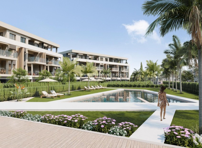 Nouvelle construction - Appartement - Torre Pacheco