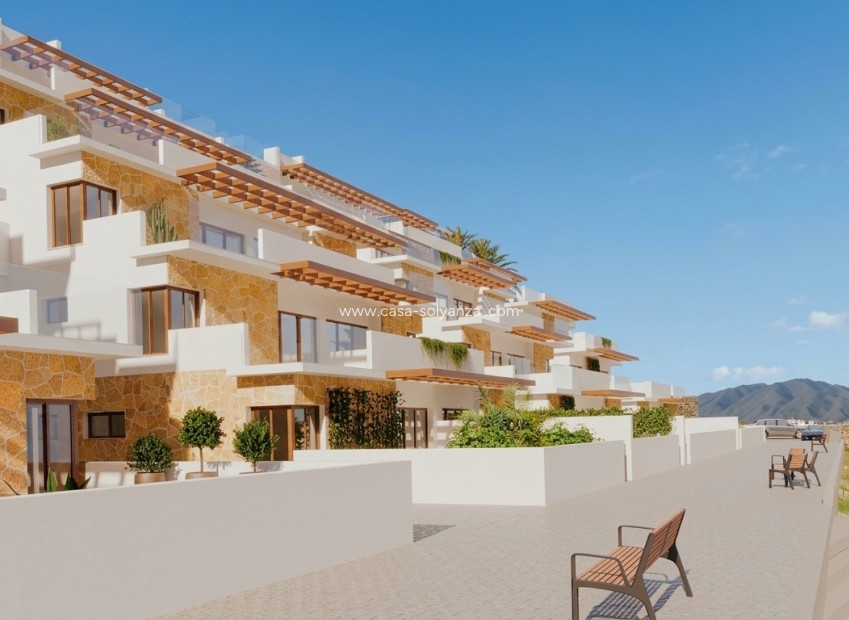 Nouvelle construction - Appartement - Vera