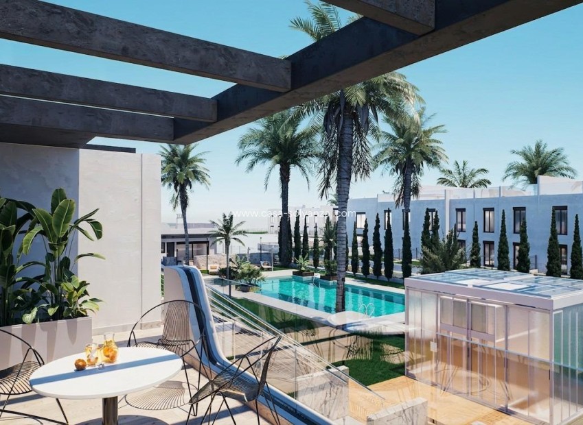 Nouvelle construction - Bungalow - Pilar de la Horadada - pueblo